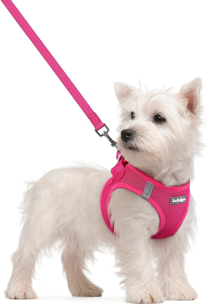 Dog Harness Small Sized and Leash Set, Step-in Puppy Pet Vest - Colors B