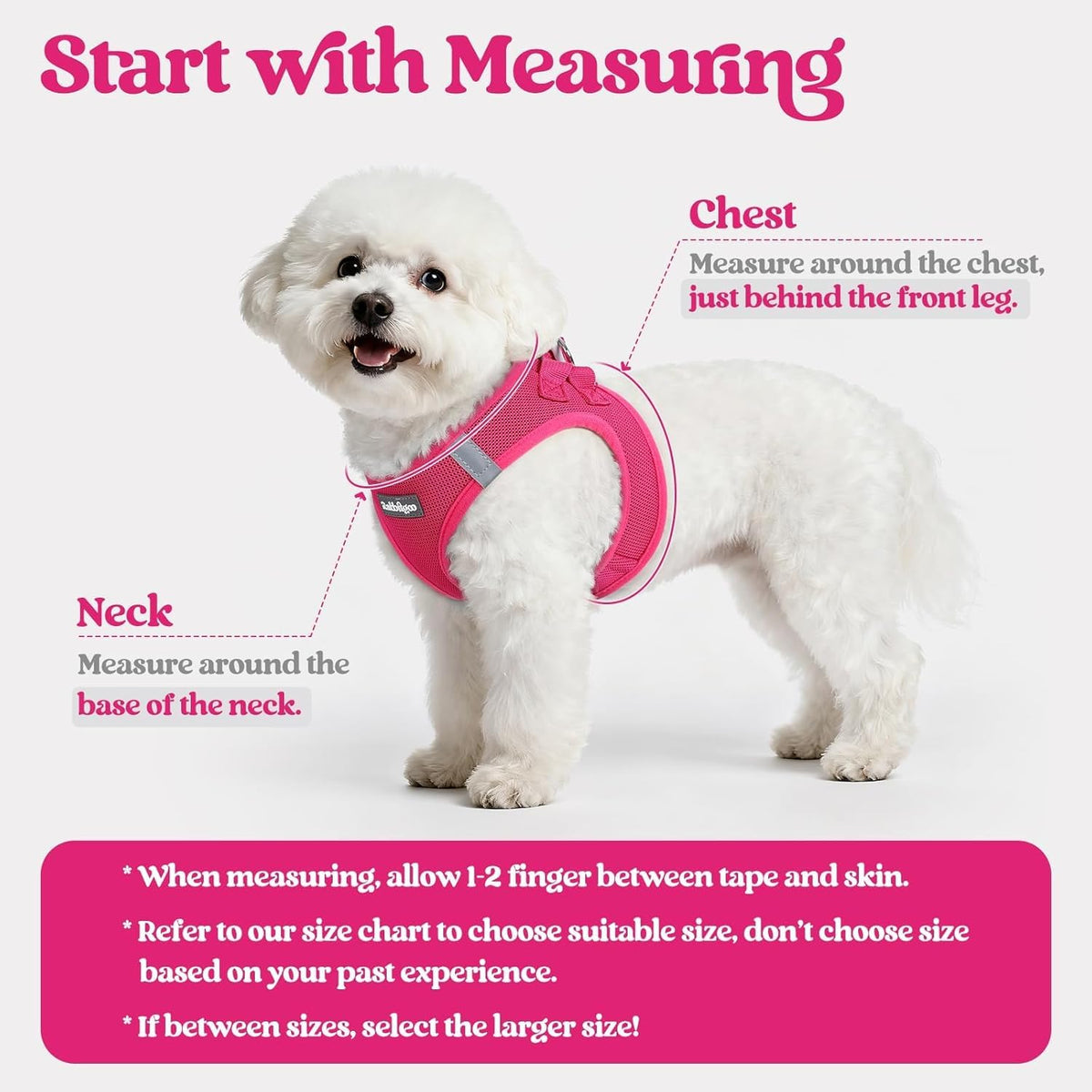 Dog Harness Small Sized and Leash Set, Step-in Puppy Pet Vest - Colors B