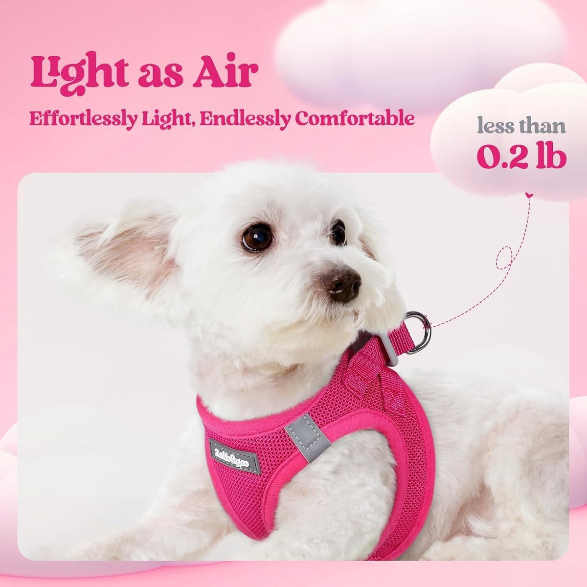 Dog Harness Small Sized and Leash Set, Step-in Puppy Pet Vest - Colors B
