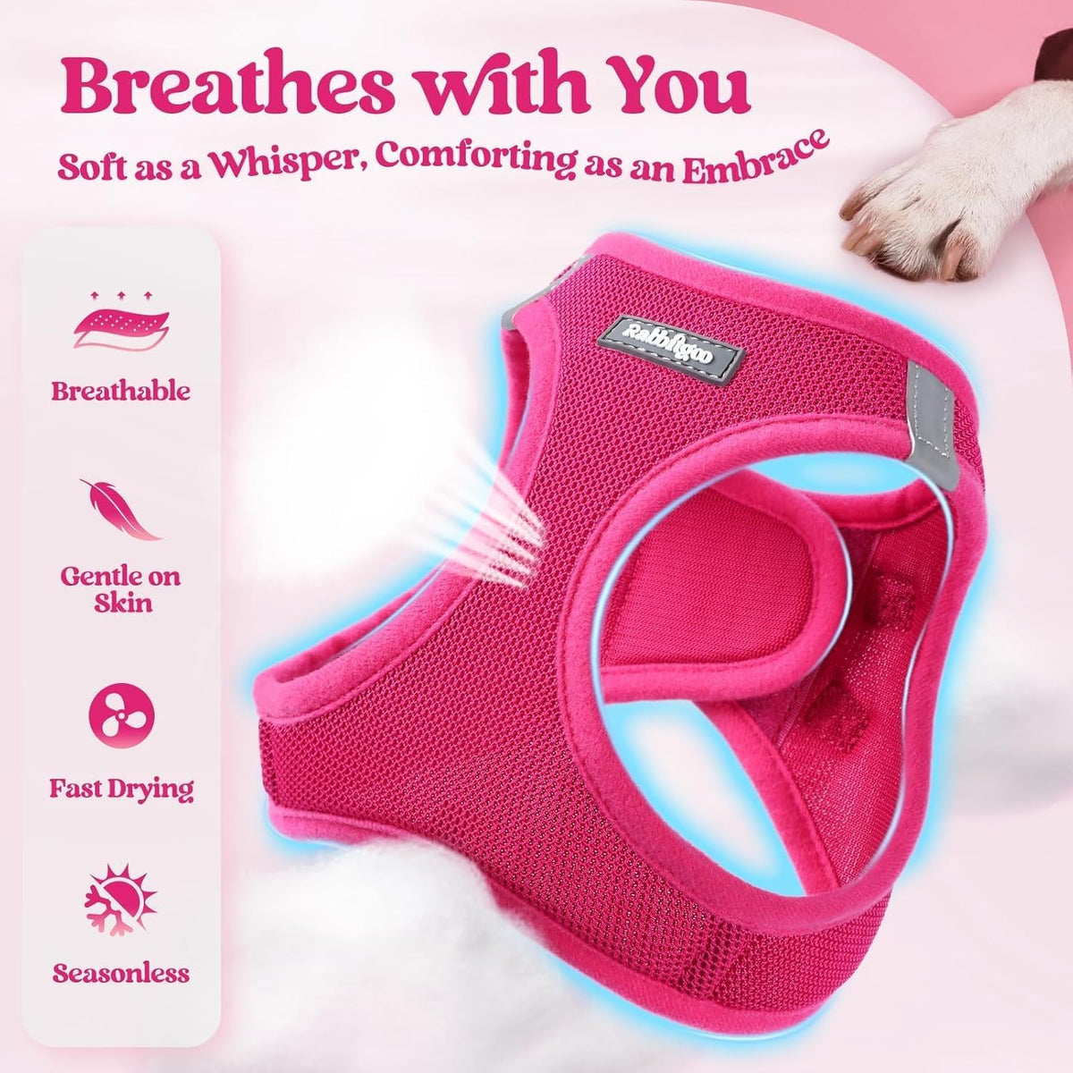 Dog Harness Small Sized and Leash Set, Step-in Puppy Pet Vest - Colors B