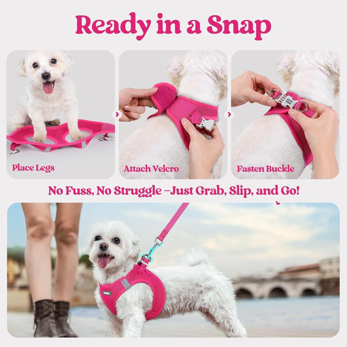 Dog Harness Small Sized and Leash Set, Step-in Puppy Pet Vest - Colors B