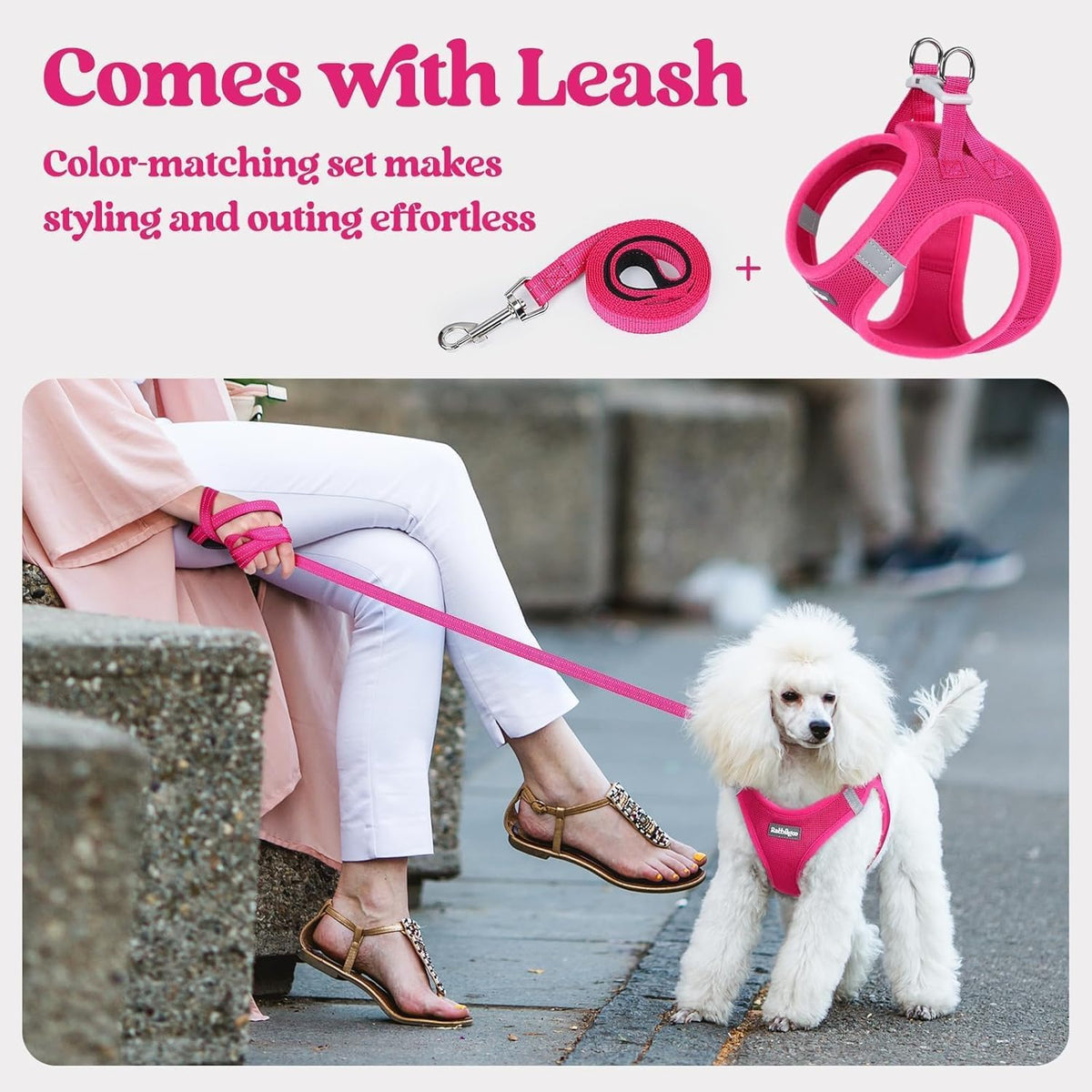 Dog Harness Small Sized and Leash Set, Step-in Puppy Pet Vest - Colors B