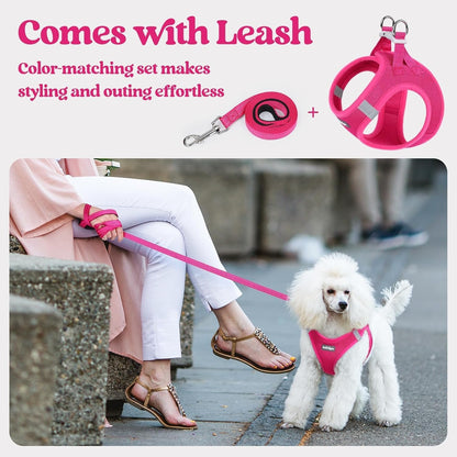 Dog Harness Small Sized and Leash Set, Step-in Puppy Pet Vest - Colors B