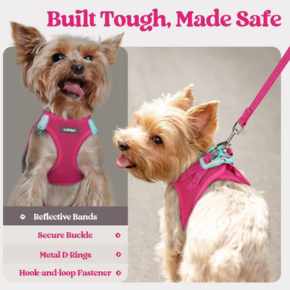 Dog Harness Small Sized and Leash Set, Step-in Puppy Pet Vest - Colors B