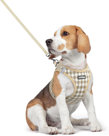 Dog Harness Small Sized and Leash Set, Step-in Puppy Pet Vest - Colors B