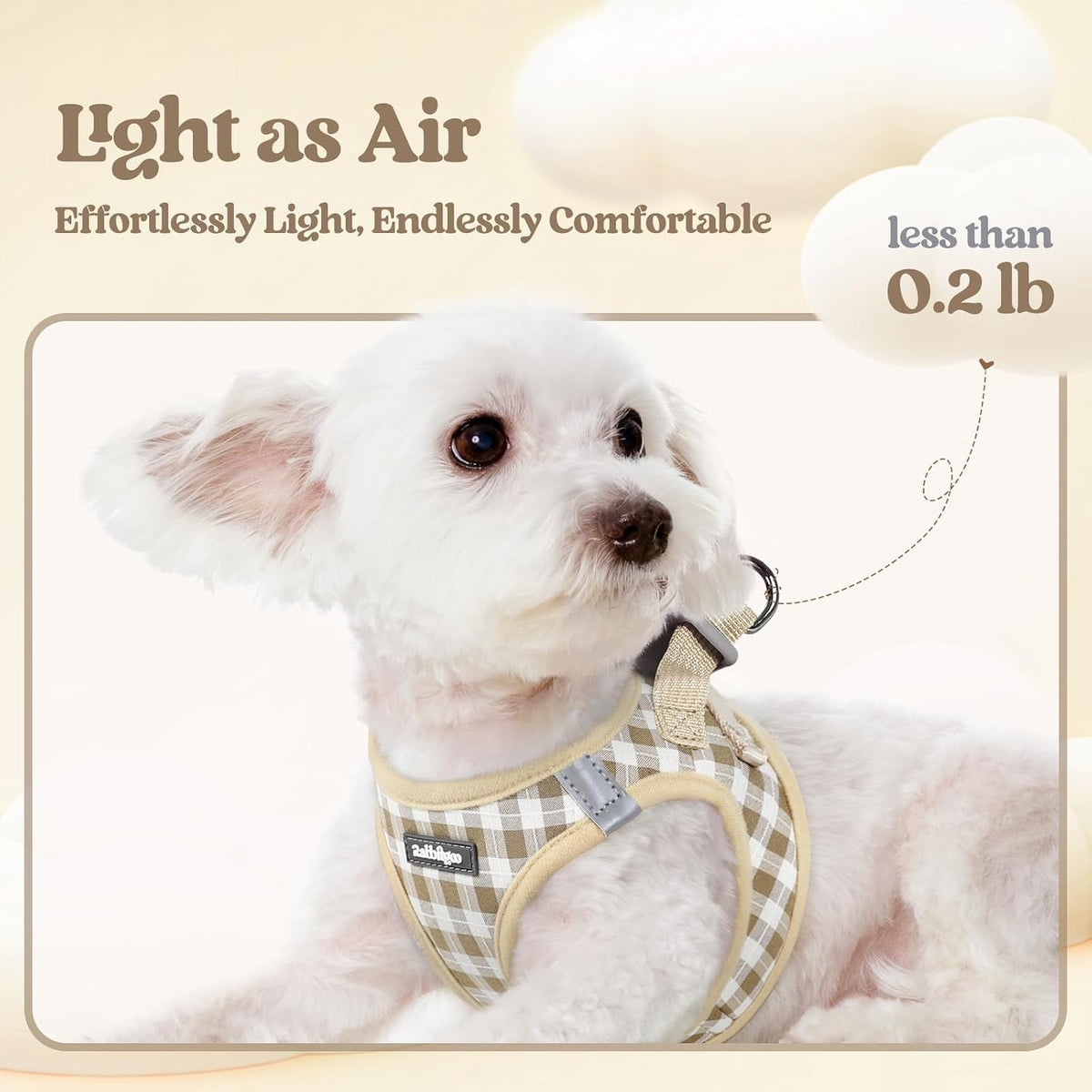 Dog Harness Small Sized and Leash Set, Step-in Puppy Pet Vest - Colors B