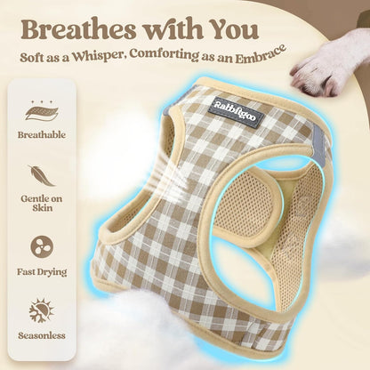 Dog Harness Small Sized and Leash Set, Step-in Puppy Pet Vest - Colors B