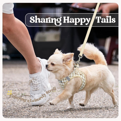 Dog Harness Small Sized and Leash Set, Step-in Puppy Pet Vest - Colors B