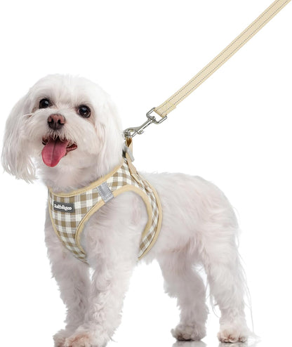 Dog Harness Small Sized and Leash Set, Step-in Puppy Pet Vest - Colors B