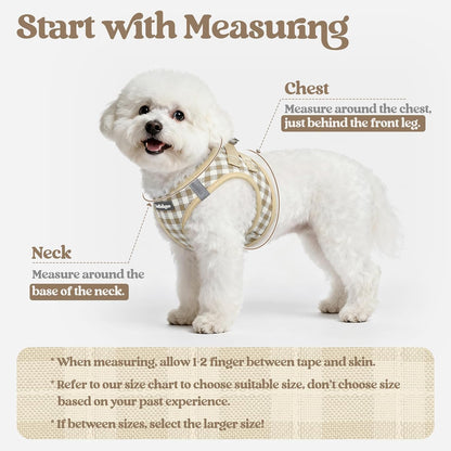 Dog Harness Small Sized and Leash Set, Step-in Puppy Pet Vest - Colors B