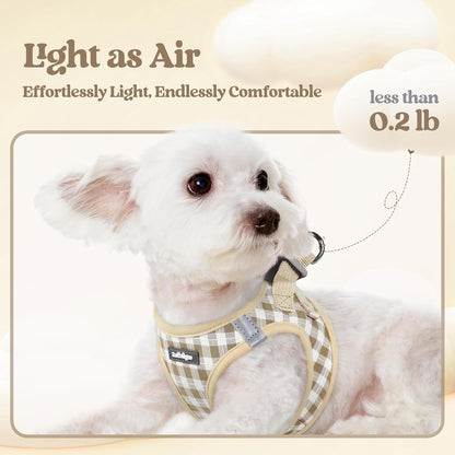 Dog Harness Small Sized and Leash Set, Step-in Puppy Pet Vest - Colors B