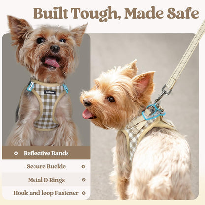Dog Harness Small Sized and Leash Set, Step-in Puppy Pet Vest - Colors B