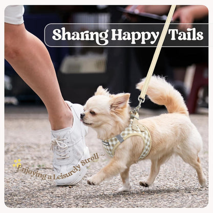Dog Harness Small Sized and Leash Set, Step-in Puppy Pet Vest - Colors B
