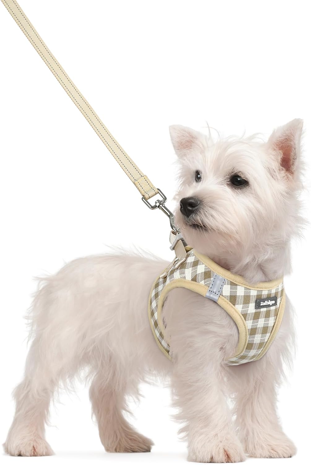 Dog Harness Small Sized and Leash Set, Step-in Puppy Pet Vest - Colors B
