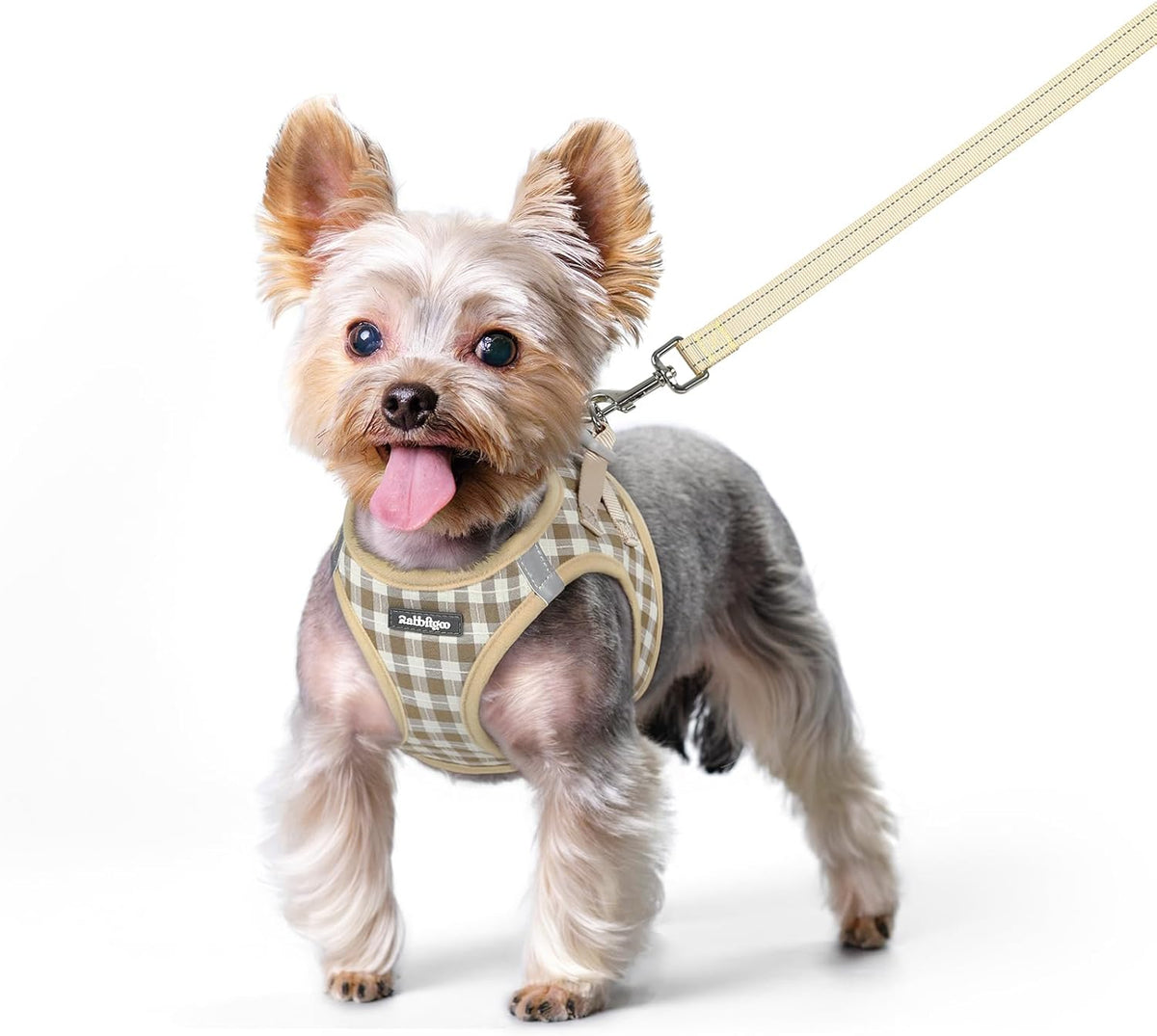 Dog Harness Small Sized and Leash Set, Step-in Puppy Pet Vest - Colors B