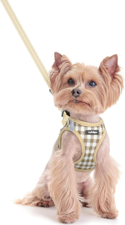 Dog Harness Small Sized and Leash Set, Step-in Puppy Pet Vest - Colors B