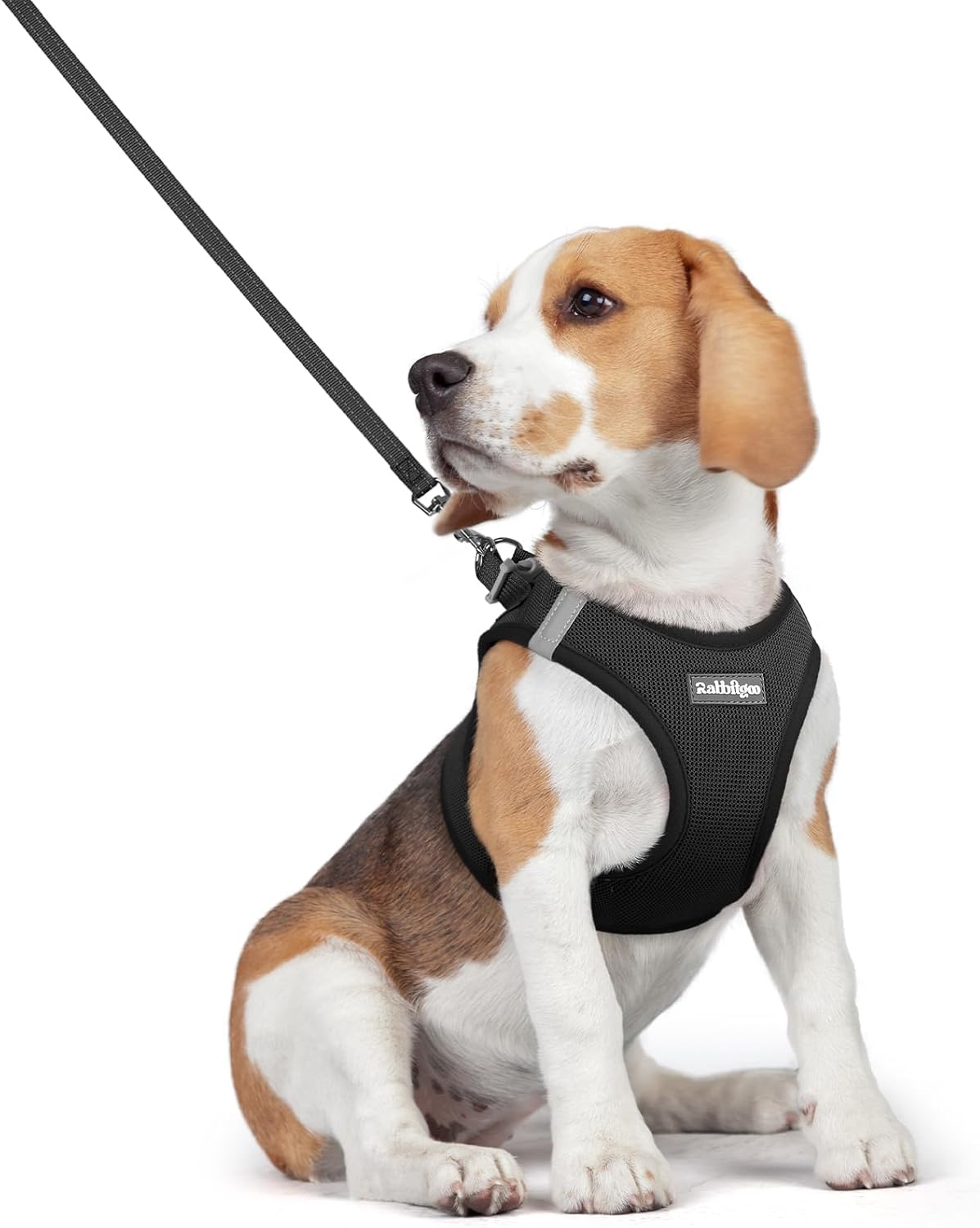 Dog Harness Small Sized and Leash Set, Step-in Puppy Pet Vest - Colors B