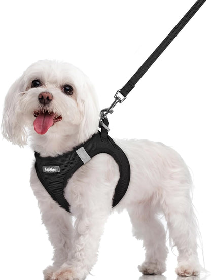 Dog Harness Small Sized and Leash Set, Step-in Puppy Pet Vest - Colors B