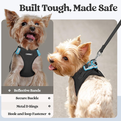 Dog Harness Small Sized and Leash Set, Step-in Puppy Pet Vest - Colors B