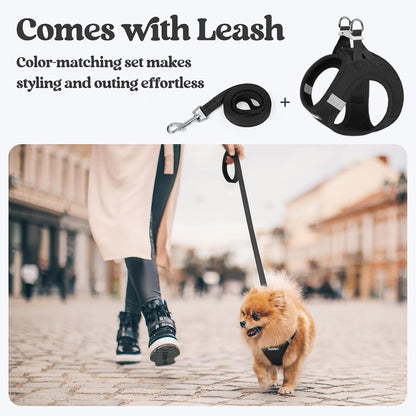 Dog Harness Small Sized and Leash Set, Step-in Puppy Pet Vest - Colors B
