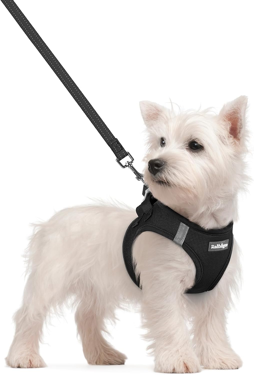 Dog Harness Small Sized and Leash Set, Step-in Puppy Pet Vest - Colors B