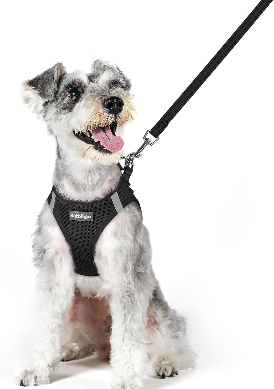 Dog Harness Small Sized and Leash Set, Step-in Puppy Pet Vest - Colors B