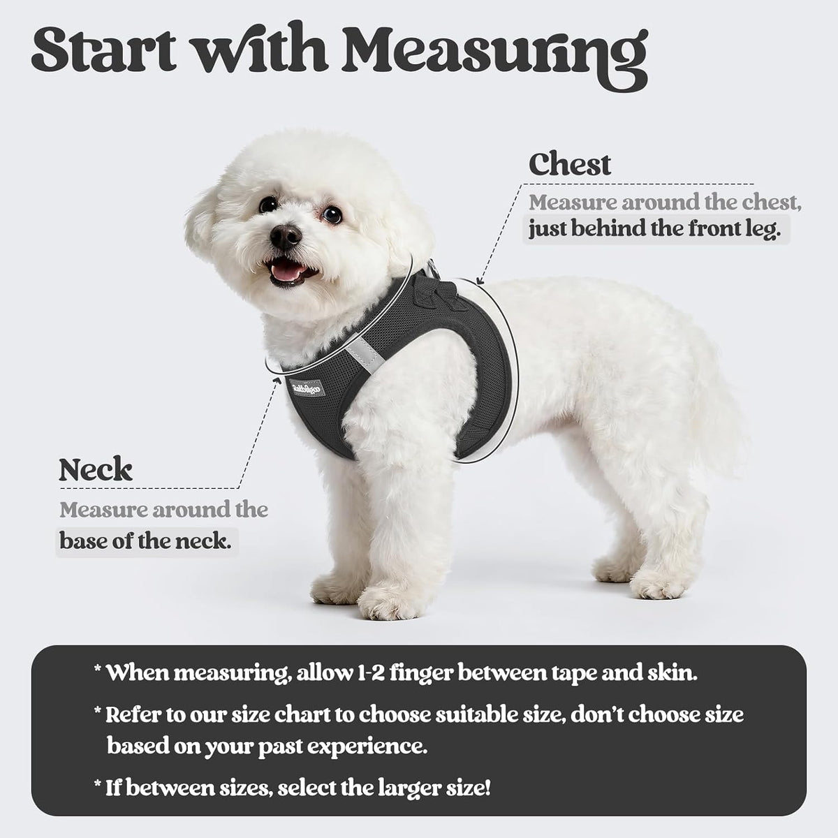 Dog Harness Small Sized and Leash Set, Step-in Puppy Pet Vest - Colors B