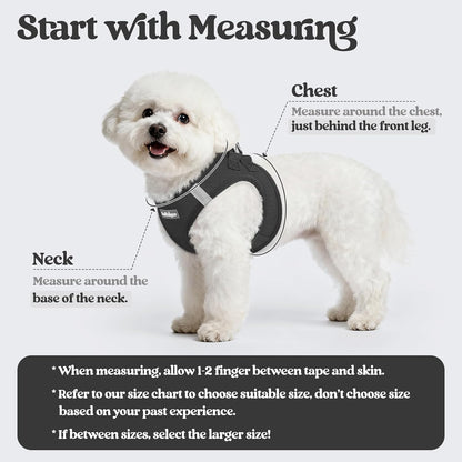 Dog Harness Small Sized and Leash Set, Step-in Puppy Pet Vest - Colors B