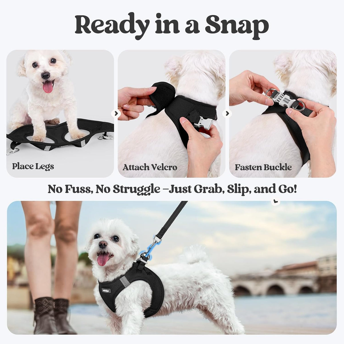 Dog Harness Small Sized and Leash Set, Step-in Puppy Pet Vest - Colors B