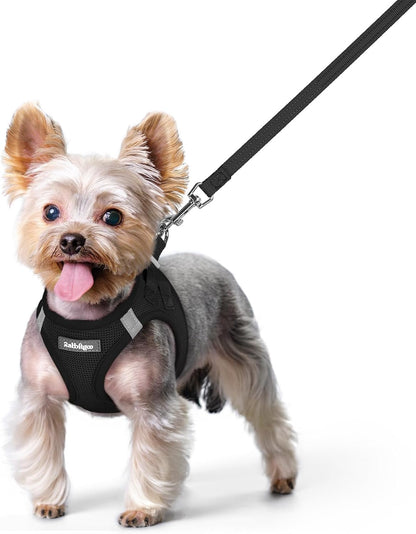 Dog Harness Small Sized and Leash Set, Step-in Puppy Pet Vest - Colors B