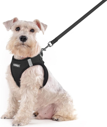 Dog Harness Small Sized and Leash Set, Step-in Puppy Pet Vest - Colors B