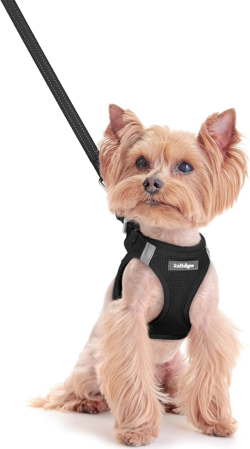 Dog Harness Small Sized and Leash Set, Step-in Puppy Pet Vest - Colors B