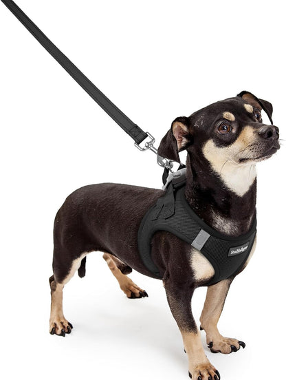 Dog Harness Small Sized and Leash Set, Step-in Puppy Pet Vest - Colors B