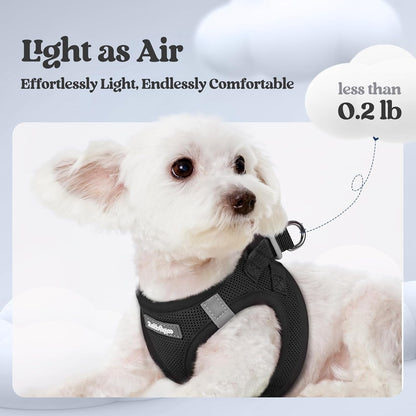 Dog Harness Small Sized and Leash Set, Step-in Puppy Pet Vest - Colors B