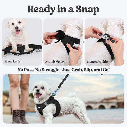 Dog Harness Small Sized and Leash Set, Step-in Puppy Pet Vest - Colors B