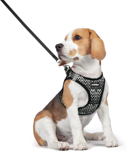 Dog Harness Small Sized and Leash Set, Step-in Puppy Pet Vest - Colors B