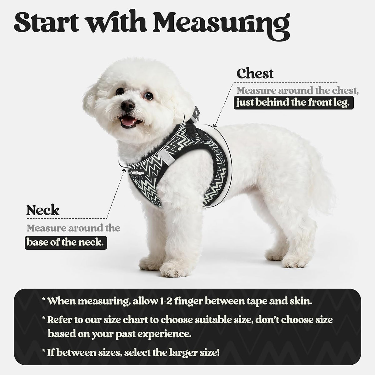Dog Harness Small Sized and Leash Set, Step-in Puppy Pet Vest - Colors B