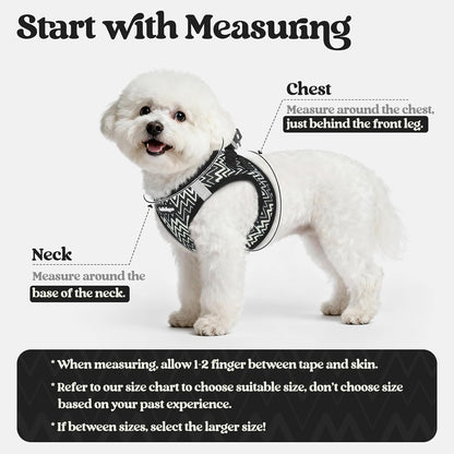 Dog Harness Small Sized and Leash Set, Step-in Puppy Pet Vest - Colors B