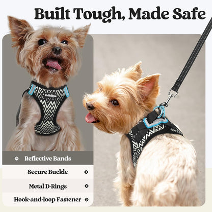Dog Harness Small Sized and Leash Set, Step-in Puppy Pet Vest - Colors B