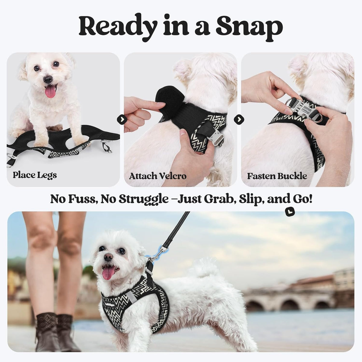 Dog Harness Small Sized and Leash Set, Step-in Puppy Pet Vest - Colors B