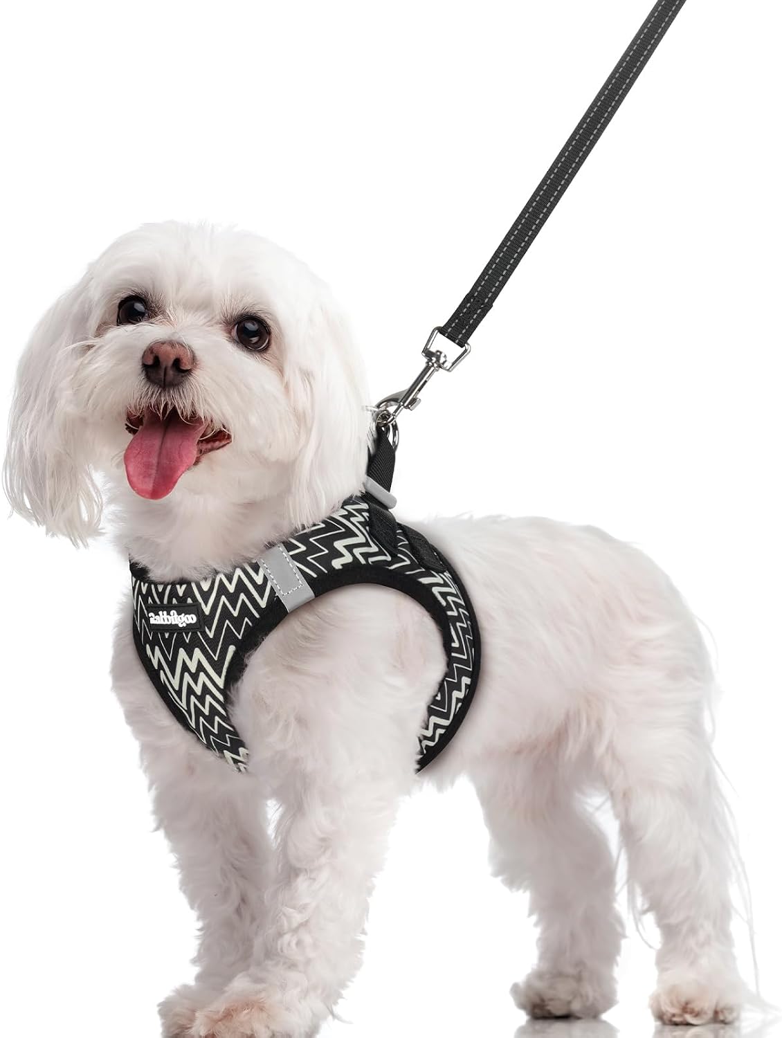 Dog Harness Small Sized and Leash Set, Step-in Puppy Pet Vest - Colors B