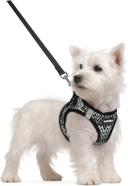 Dog Harness Small Sized and Leash Set, Step-in Puppy Pet Vest - Colors B