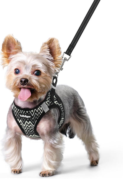 Dog Harness Small Sized and Leash Set, Step-in Puppy Pet Vest - Colors B