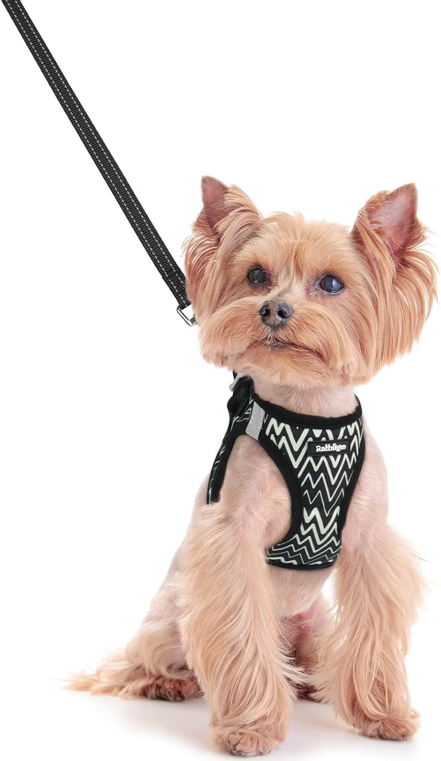 Dog Harness Small Sized and Leash Set, Step-in Puppy Pet Vest - Colors B