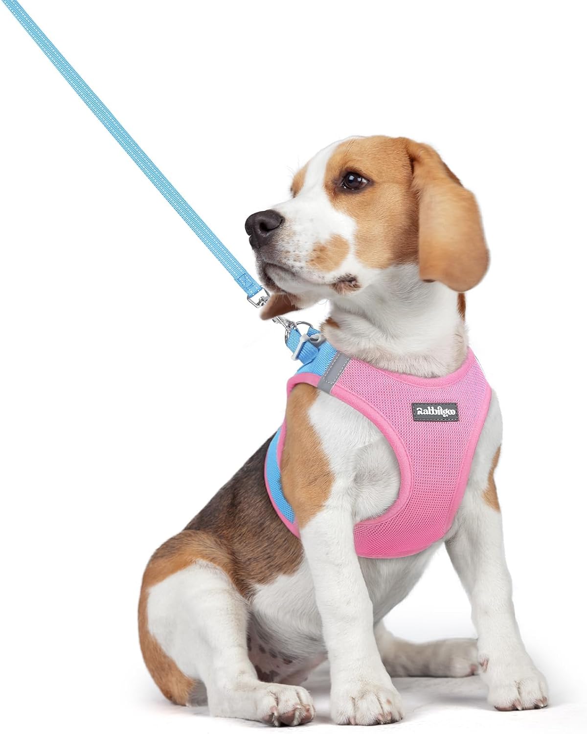 Dog Harness Small Sized and Leash Set, Step-in Puppy Pet Vest - Colors B