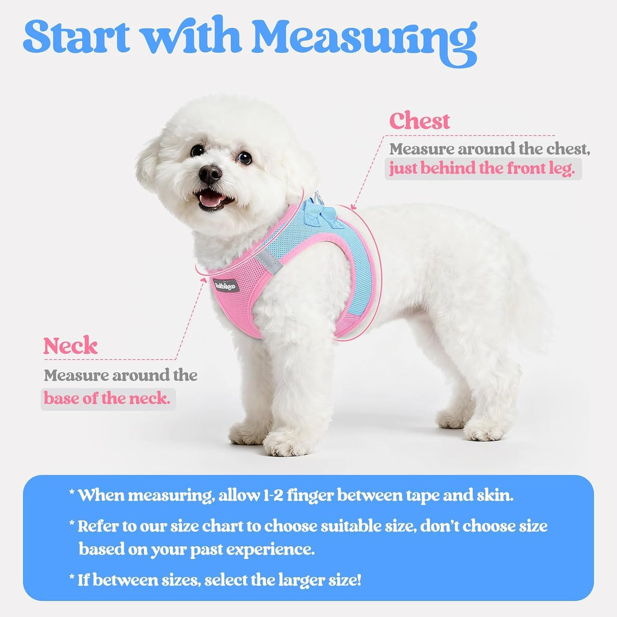 Dog Harness Small Sized and Leash Set, Step-in Puppy Pet Vest - Colors B