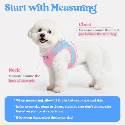 Dog Harness Small Sized and Leash Set, Step-in Puppy Pet Vest - Colors B