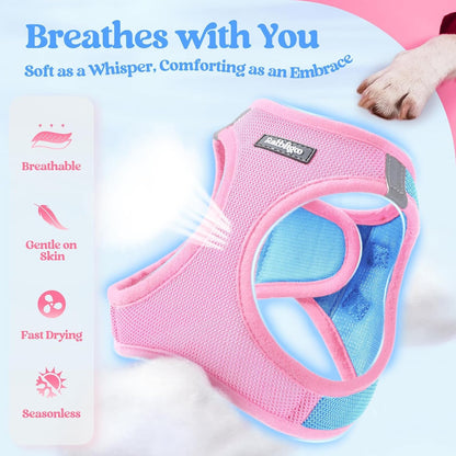 Dog Harness Small Sized and Leash Set, Step-in Puppy Pet Vest - Colors B