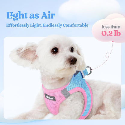 Dog Harness Small Sized and Leash Set, Step-in Puppy Pet Vest - Colors B