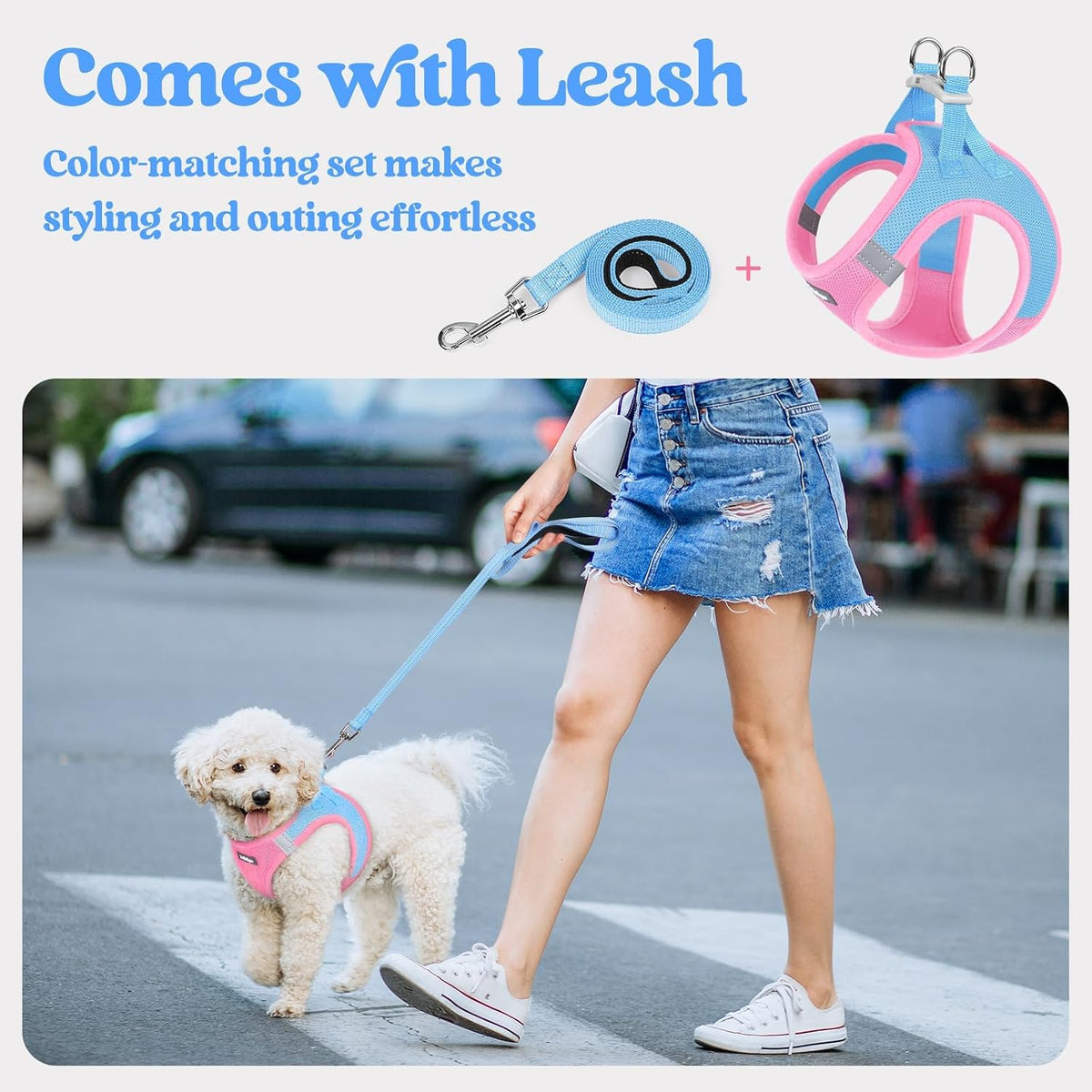 Dog Harness Small Sized and Leash Set, Step-in Puppy Pet Vest - Colors B